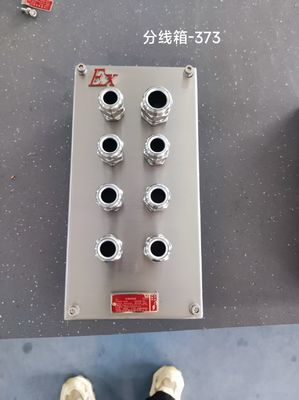 Boîte de jonction antidéflagrante en acier inoxydable 304 personnalisable, boîtier anti-corrosion FLP