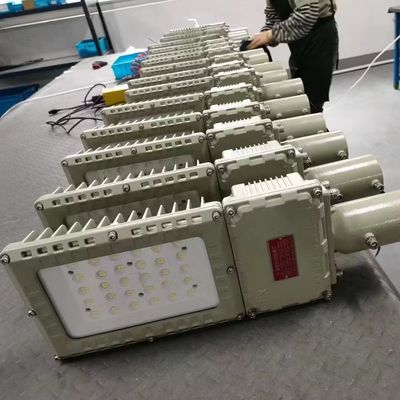 Lumière anti-explosion à haute luminosité IP66 niveau de protection WF2