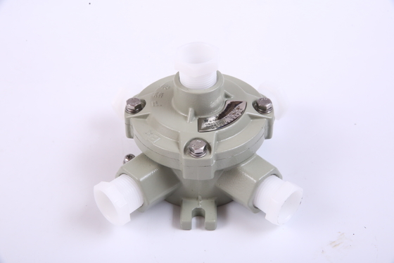 GB12476.1-2000 Boîte de jonction à résistance à l'explosion standard avec guide de protection IP65 et Ex db IIC T6 Gb/Ex tb IIIC T85°Db