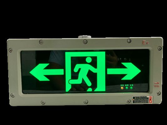 Luminaire d'évacuation de secours mural 3W 120/180 minutes, indicateurs LED, couleurs personnalisables, surface personnalisable pour Zone 1 et Zone 2