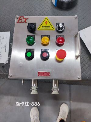 Boîte de jonction antidéflagrante en acier inoxydable avec trous personnalisables M/G/NPT Exd II C T6 Gb Ex-Marque