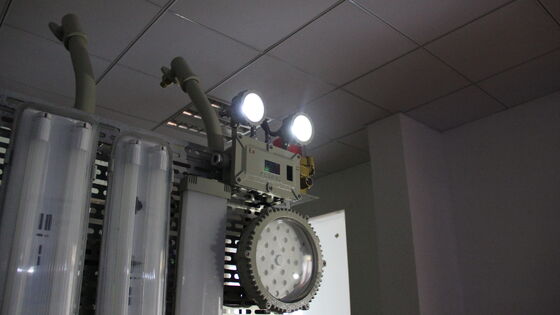 Lumière de secours anti-incendie BCJ IP66 éclairage à l'épreuve de l'explosion Double LED 180 min