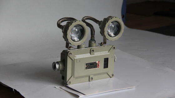 ATEX×CNEX  220VAC 50Hz CCT 4500-6500K Customizable Explosion Proof Emergency Light