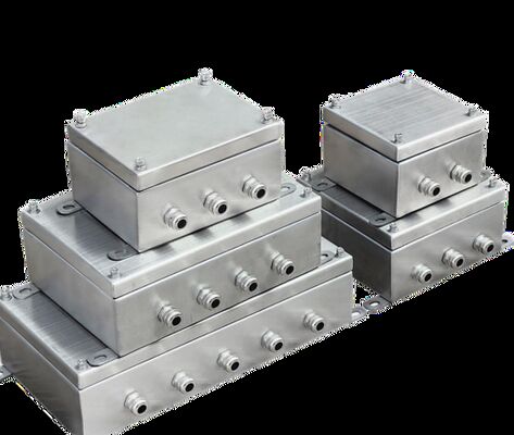 Acier inoxydable 316 à l'épreuve de l'explosion sur mesure Résistance à la corrosion