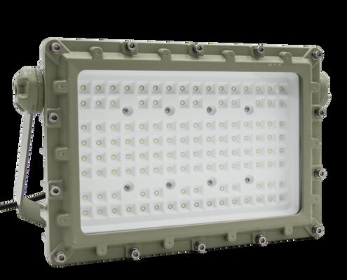 Professional Explosion Proof Lamps Outdoor Floodlight Safety Lighting Explosion-Proof Flood Lighting for Zone1 Zone2