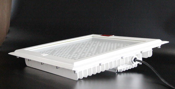 Projecteur LED antidéflagrant haute luminosité 100-250W, température de couleur maximale de 5700K, garantie de service de 5 ans pour les zones dangereuses de stations-service