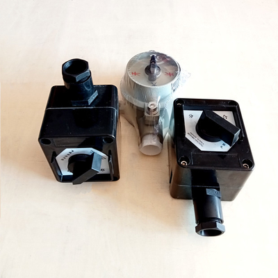 Commutateur anti-explosion de l'industrie chimique avec pôles de niveau 2 de protection IP66